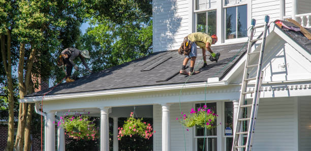 Best Roof Gutter Cleaning  in Danville, PA
